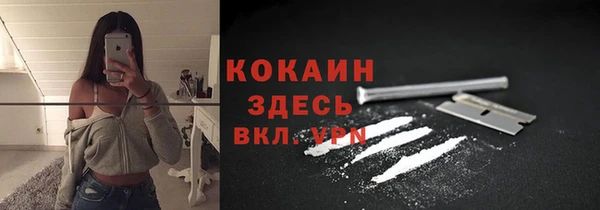винт Мегион