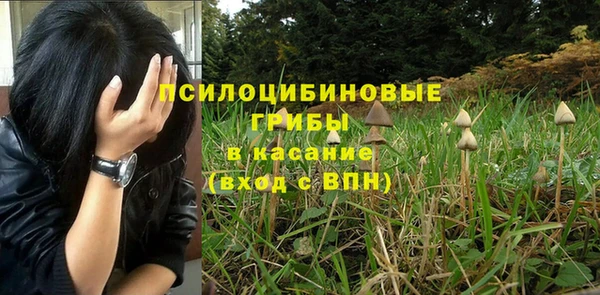 винт Мегион