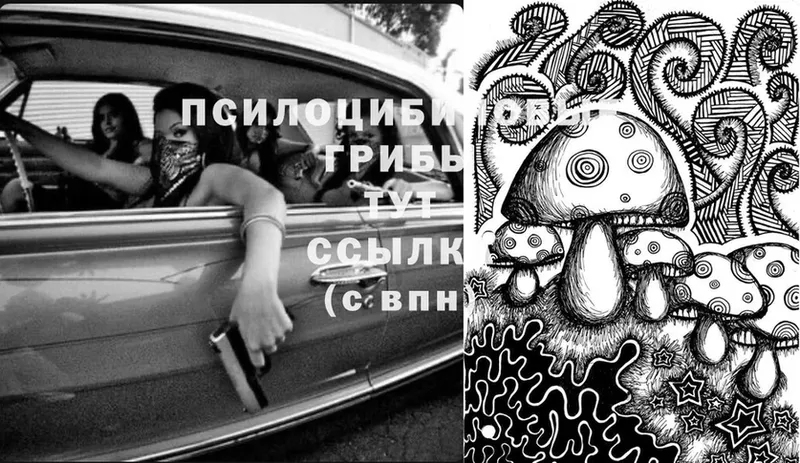 Галлюциногенные грибы Magic Shrooms  Крымск 