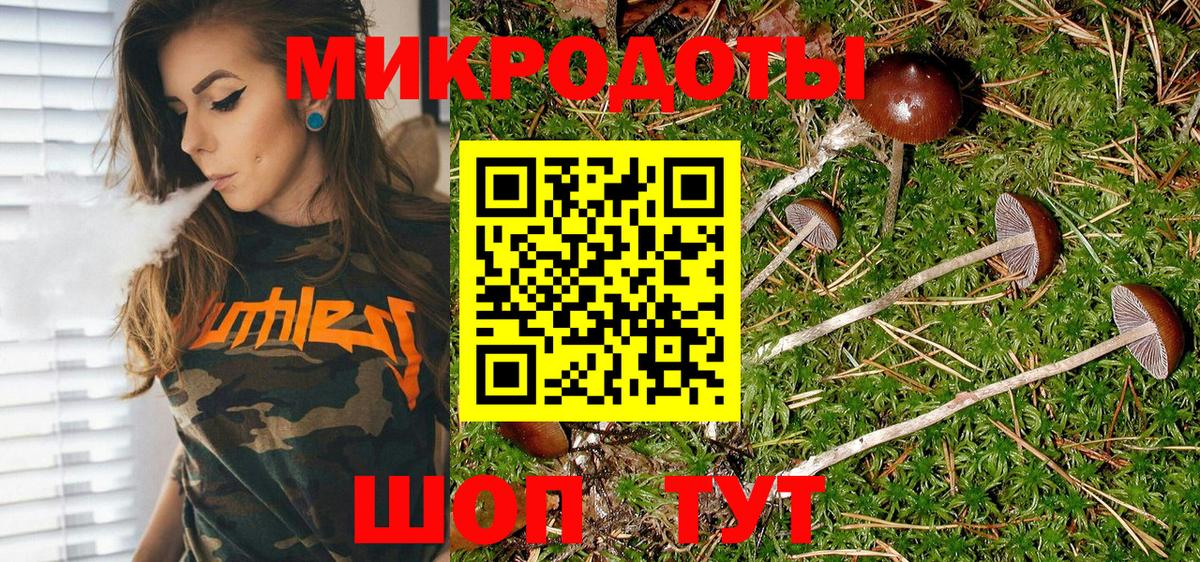 Крымск  Галлюциногенные грибы мицелий  Вход с VPN 