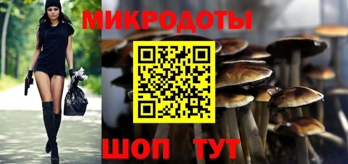 Галлюциногенные грибы Psilocybe Крымск